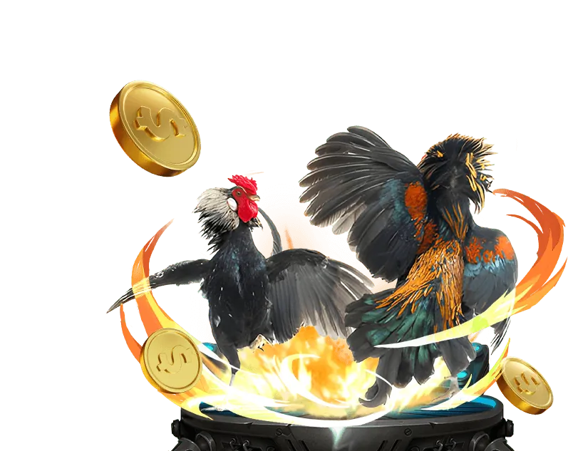 Cá cược E-sports ku88