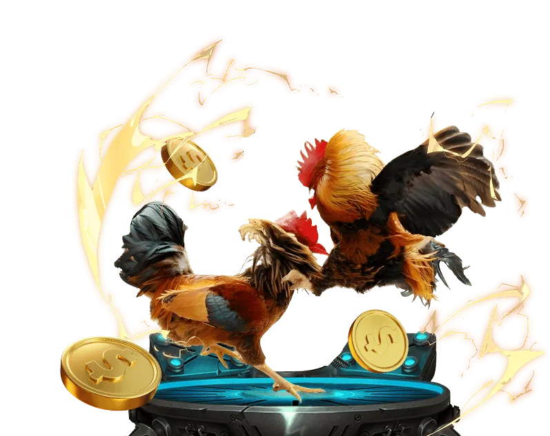 Hình ảnh đại diện cho dịch vụ hỗ trợ khách hàng 24/7 của ku88.